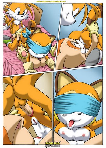 Cover of Sonic Project XXX 2.5
